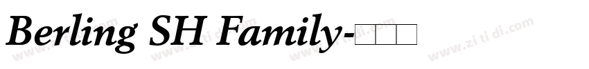 Berling SH Family字体转换